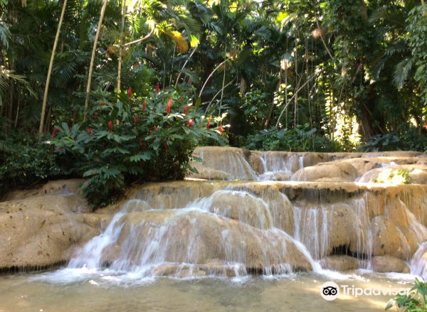 The Turtle River Falls & Gardens (formerly The Enchanted Gardens)