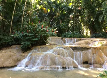 The Turtle River Falls & Gardens (formerly The Enchanted Gardens)