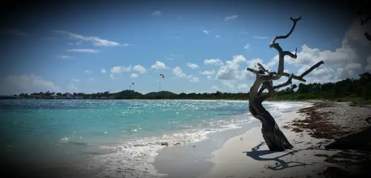 Hotels in Cedar Grove