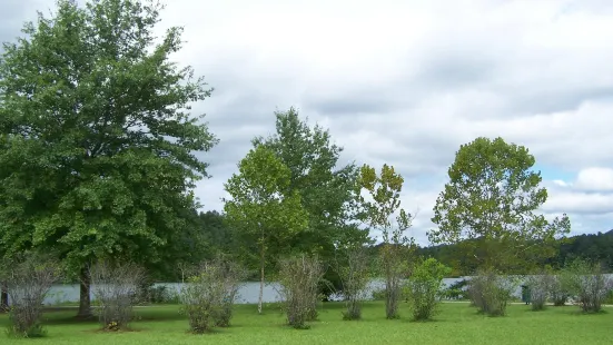 Paintsville Lake State Park