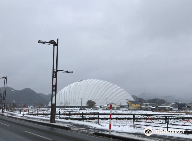 Nipro Hachiko Dome (Odate Jukai Dome)