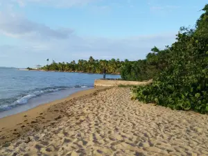 Vieques National Wildlife Refuge