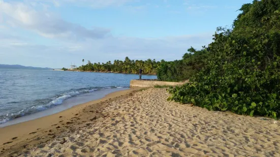 Vieques National Wildlife Refuge