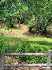 Hachiman-yama-kofun Tumulus, Nationally Designated Historic Site