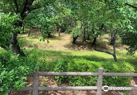 Hachiman-yama-kofun Tumulus, Nationally Designated Historic Site