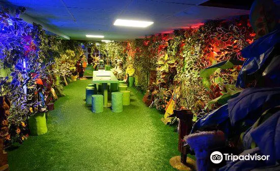 1_Le Museum de Curiosite et de l’Insolite