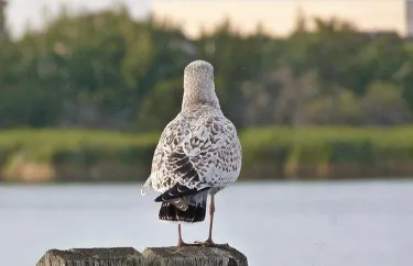 Crystal Lake Grande Prairie otelleri