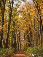 Louis M. Groen Nature Preserve