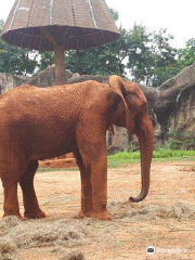 zoo di Nakhon Ratchasima