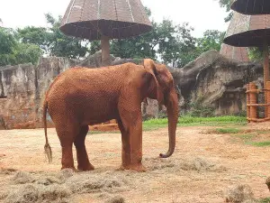 zoo di Nakhon Ratchasima