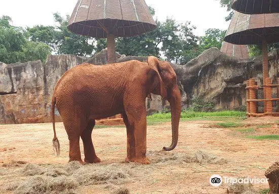 zoo di Nakhon Ratchasima