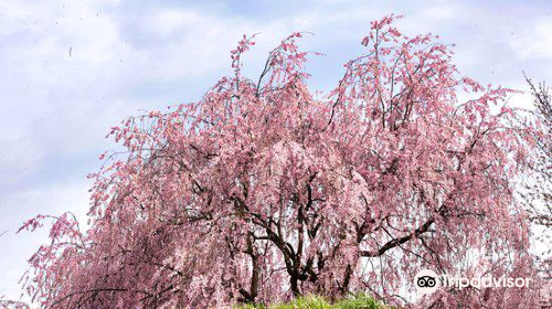 千曲川ふれあい公園