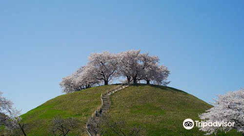 Sakitama Kofun Ancient Tomb Park