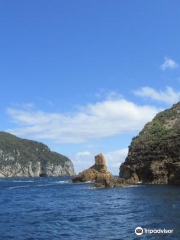 Poor Knights Island Marine Reserve