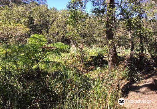 3_塔姆伯林和瓦拉倫自然保護區