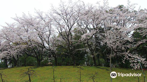 Hidaka Park