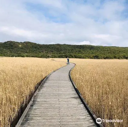 Princetown Wetlands Boardwalk