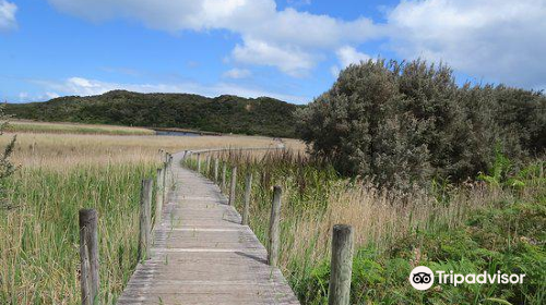 Princetown Wetlands Boardwalk