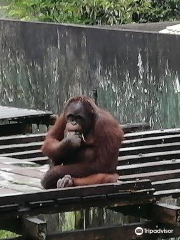 Matang Wildlife Centre