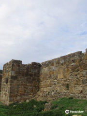 Castillo de Alcobaça