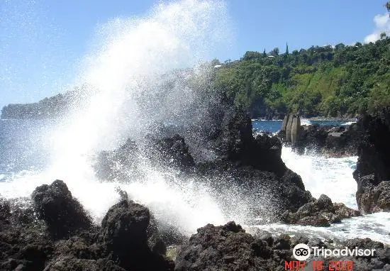 Laupãhoehoe Beach Park