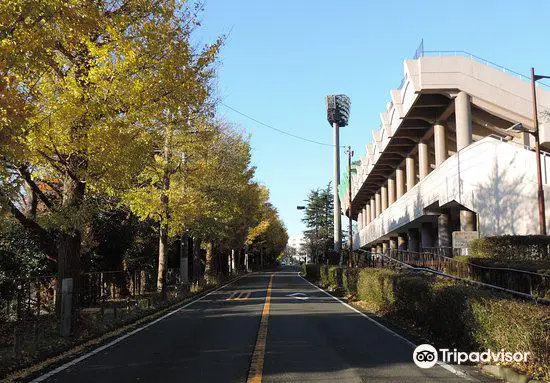 Kanagawa Prefectural Hodogaya Park