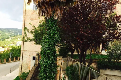 Borgese Camere e Suites