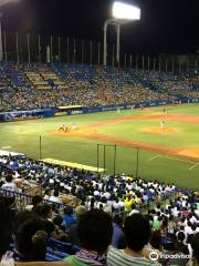 Jingu Baseball Stadium