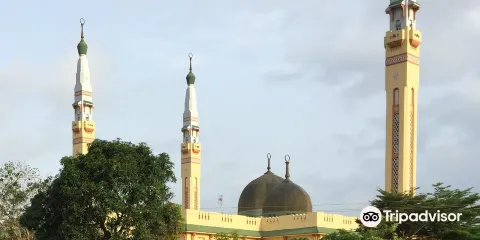 科納克里大清真寺