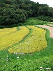 The rice terraces in Irigo district Ishibatake village community.