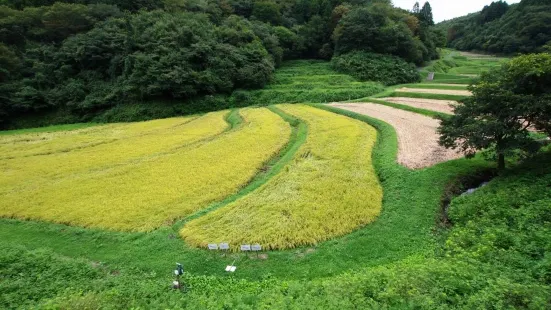 The rice terraces in Irigo district Ishibatake village community.