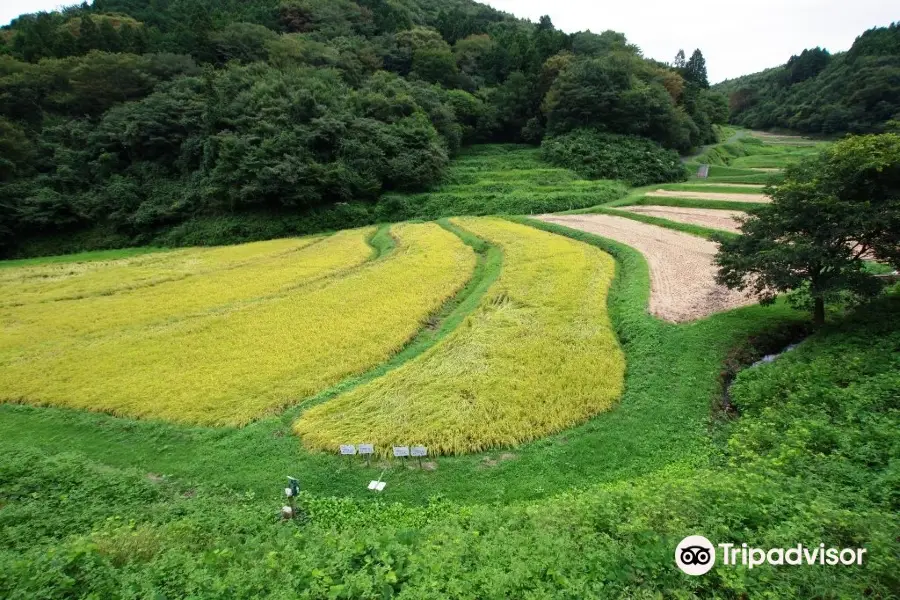 The rice terraces in Irigo district Ishibatake village community.