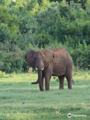 Lake Nakuru National Park