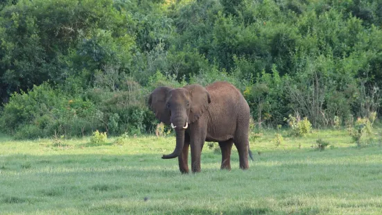 Lake Nakuru National Park