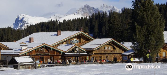Dolomites Living Hotel Tirler Hotels in Castelrotto