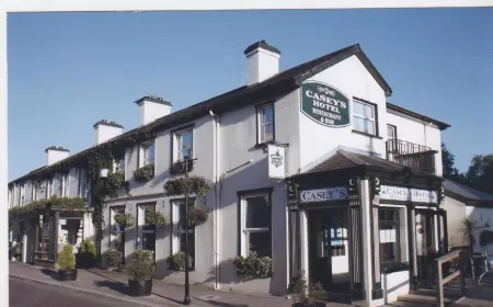 Casey's Hotel Отели в г. Glengarriff