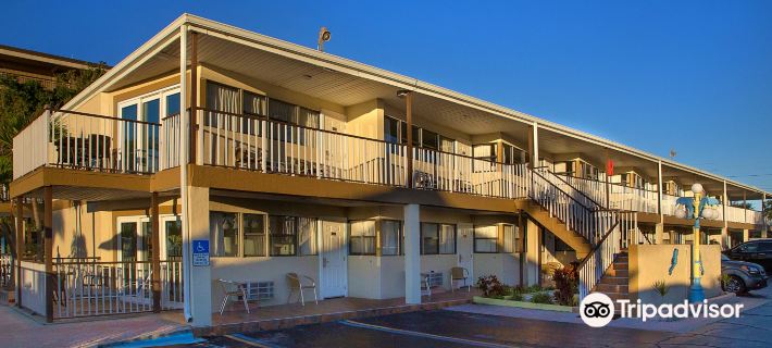 Plaza Beach Hotel - Beachfront Resort Отели в г. Пинеллас
