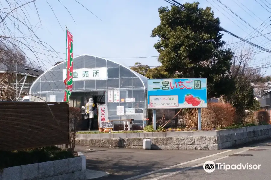 Ninomiya Strawberry Farm