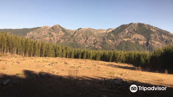 one-day tour of Los Angeles Coast Starlight Scenic Train