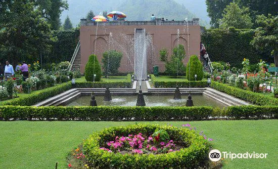 3_Chashma Shahi Garden چشمہ شاہی باغ
