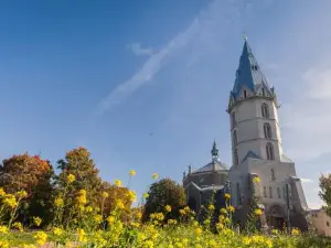 Alexander's Cathedral