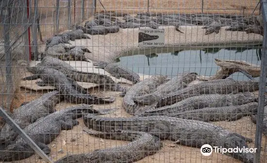 Crocoloco Crocodile Farm