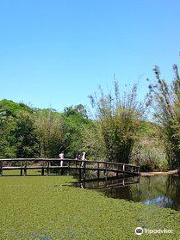 Jardín botánico de Porto Alegre