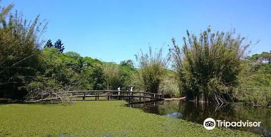 Jardin Botanique de Porto Alegre