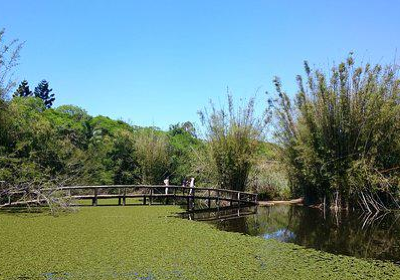 Botanical Gardens of Porto Alegre