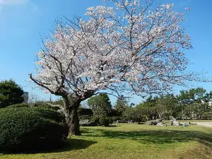 Minatoyama Park