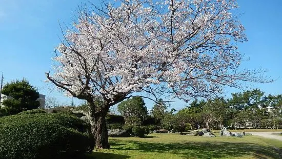 湊山公園