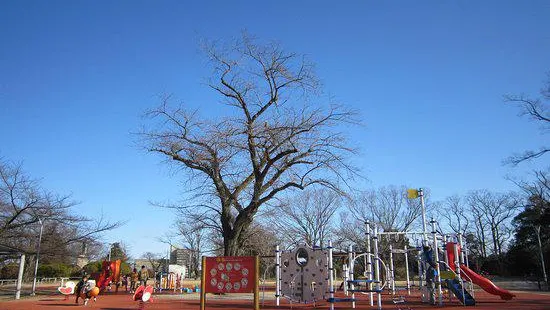 Matsugaoka Park