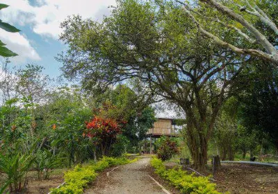 Provinz El Oro