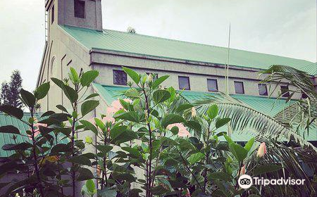 Pink Sisters' Convent and Chapel